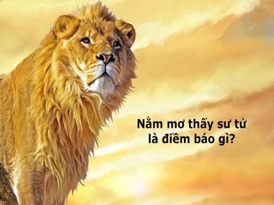 Giấc mơ thấy sư tử