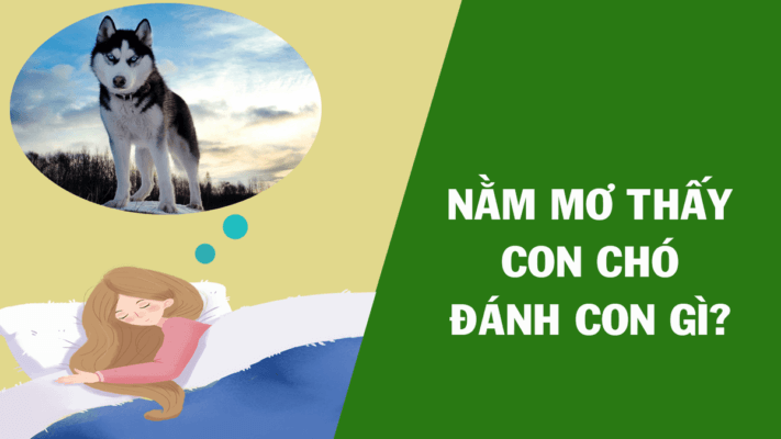 Nằm mơ thấy chó đánh con gì