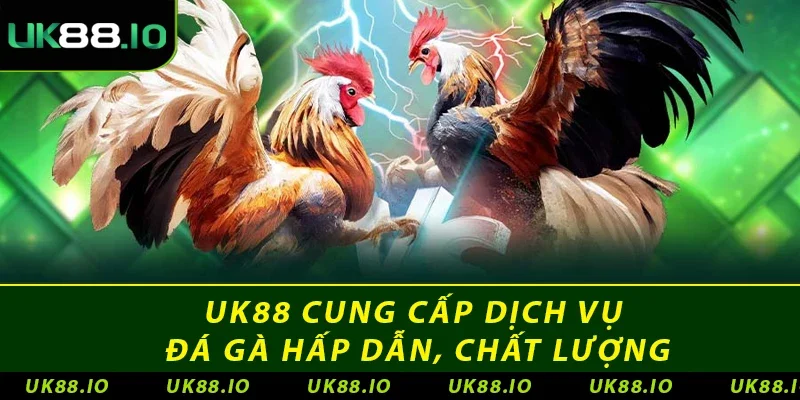 UK88 cung cấp dịch vụ đá gà hấp dẫn, chất lượng